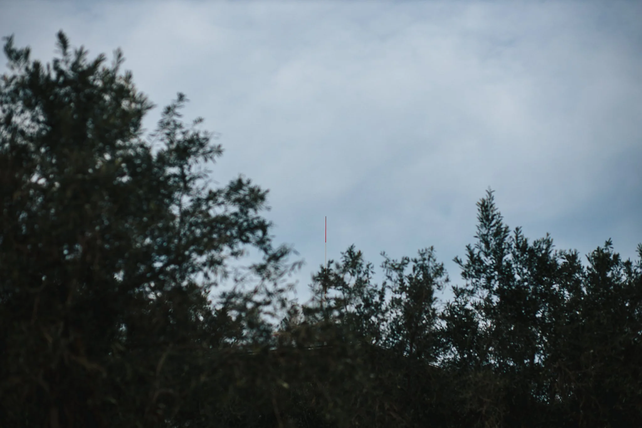 © Nick Boutsikos_A sunny winter day at the SNFCC with friends-24.jpg