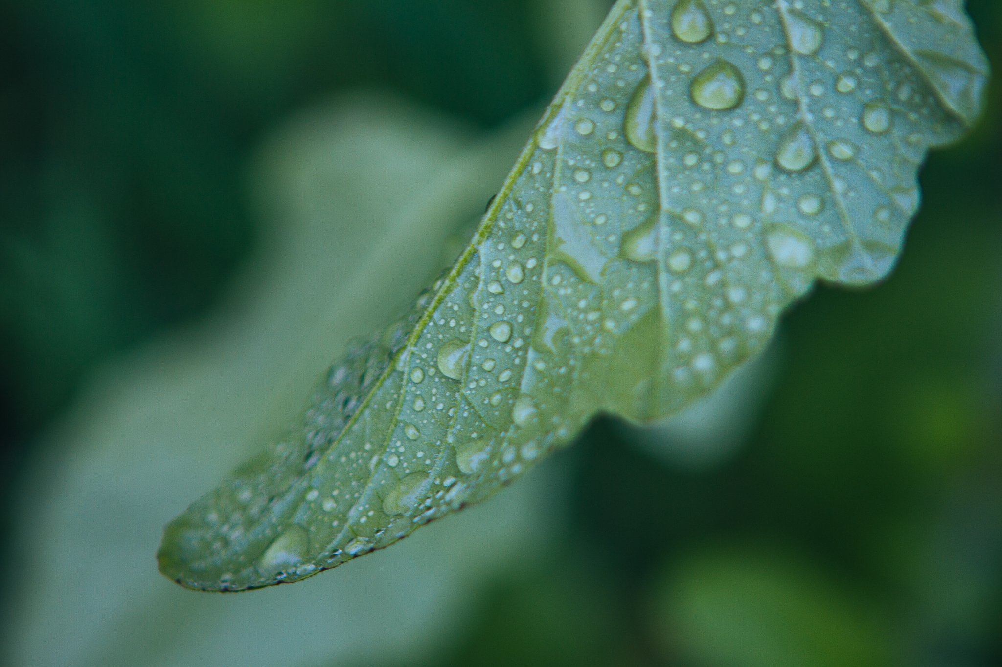 © Nick Boutsikos_Trikala - City of wonders-04.jpg