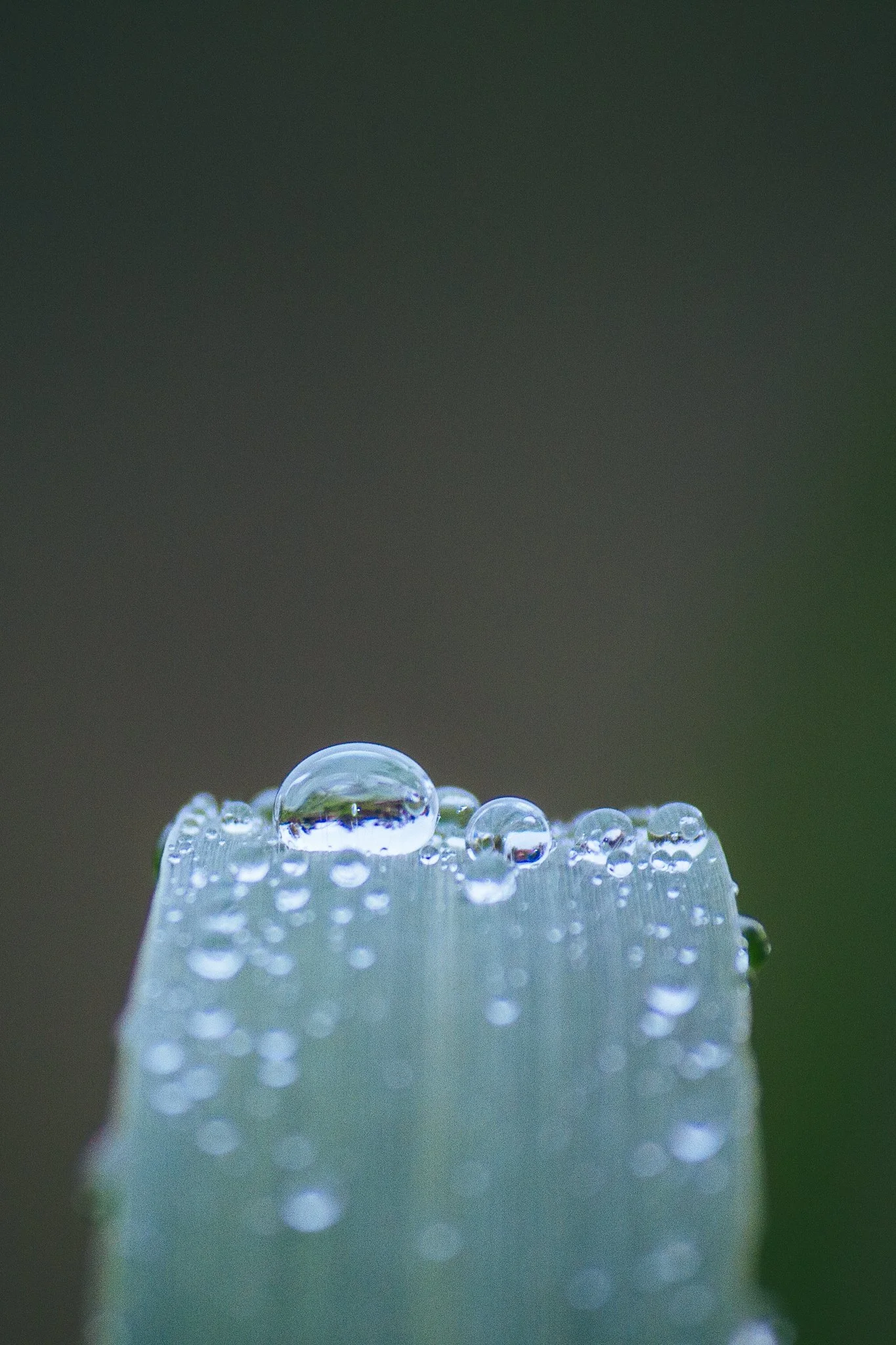 © Nick Boutsikos_Trikala - City of wonders-06.jpg