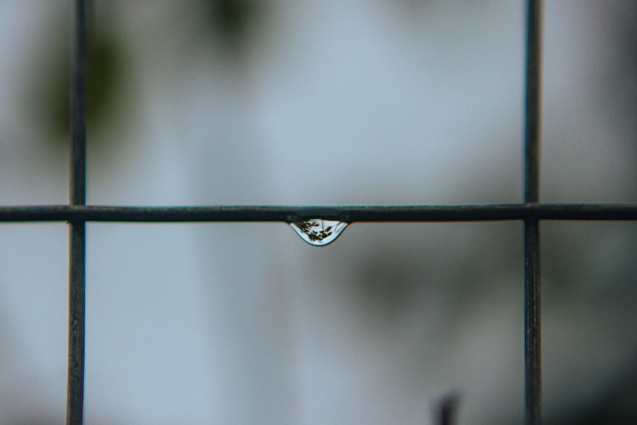 © Nick Boutsikos_Trikala - City of wonders-07.jpg