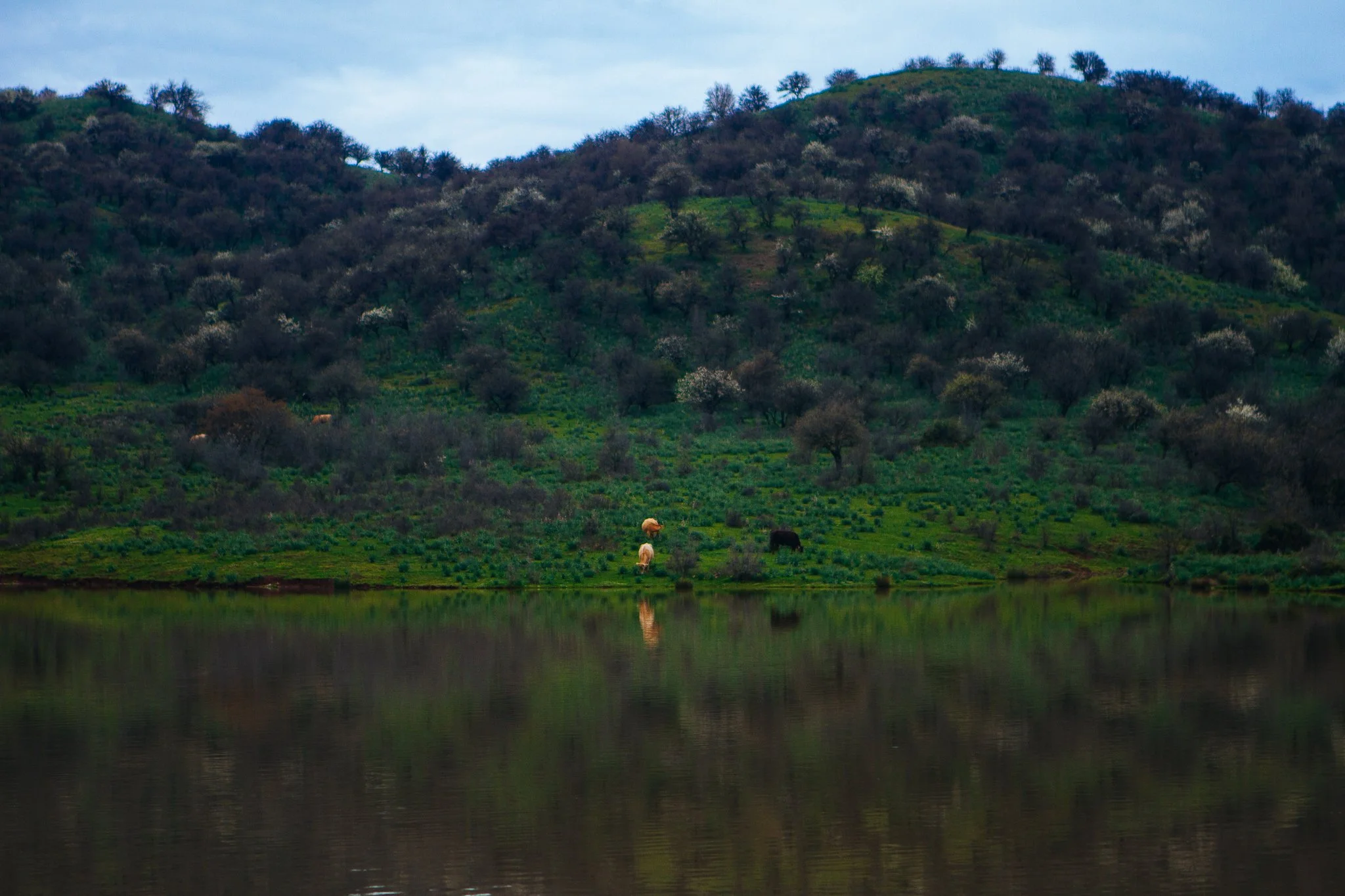 © Nick Boutsikos_Trikala - City of wonders-20.jpg