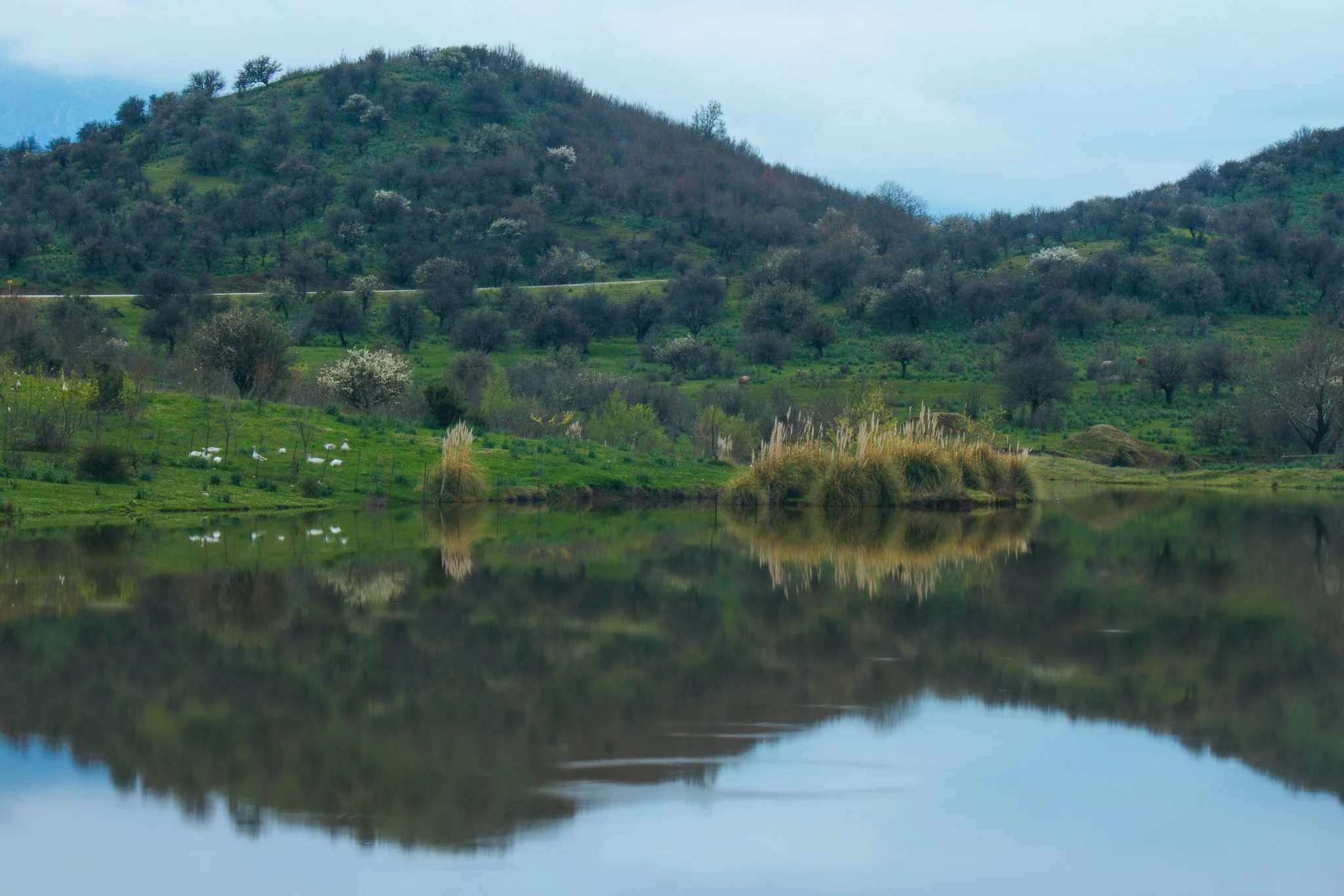 © Nick Boutsikos_Trikala - City of wonders-21.jpg