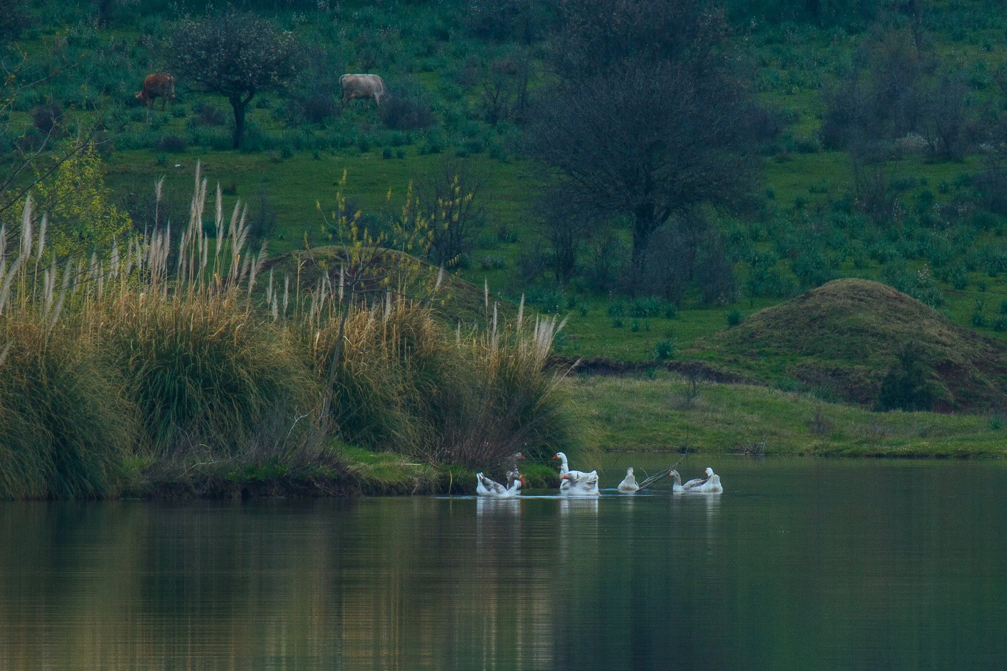 © Nick Boutsikos_Trikala - City of wonders-22.jpg