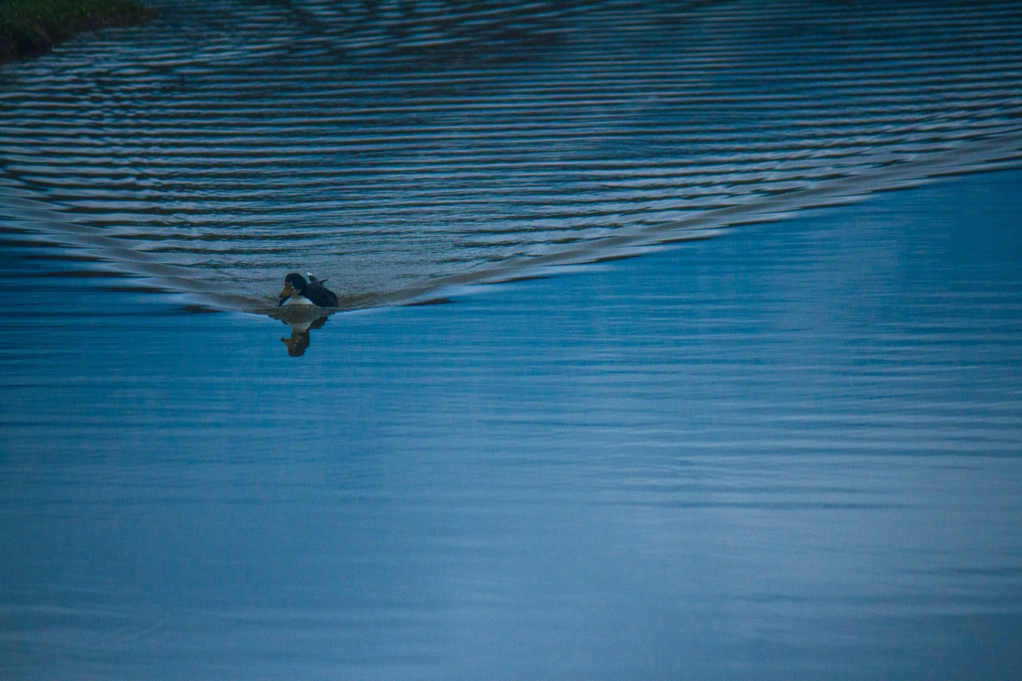 © Nick Boutsikos_Trikala - City of wonders-23.jpg