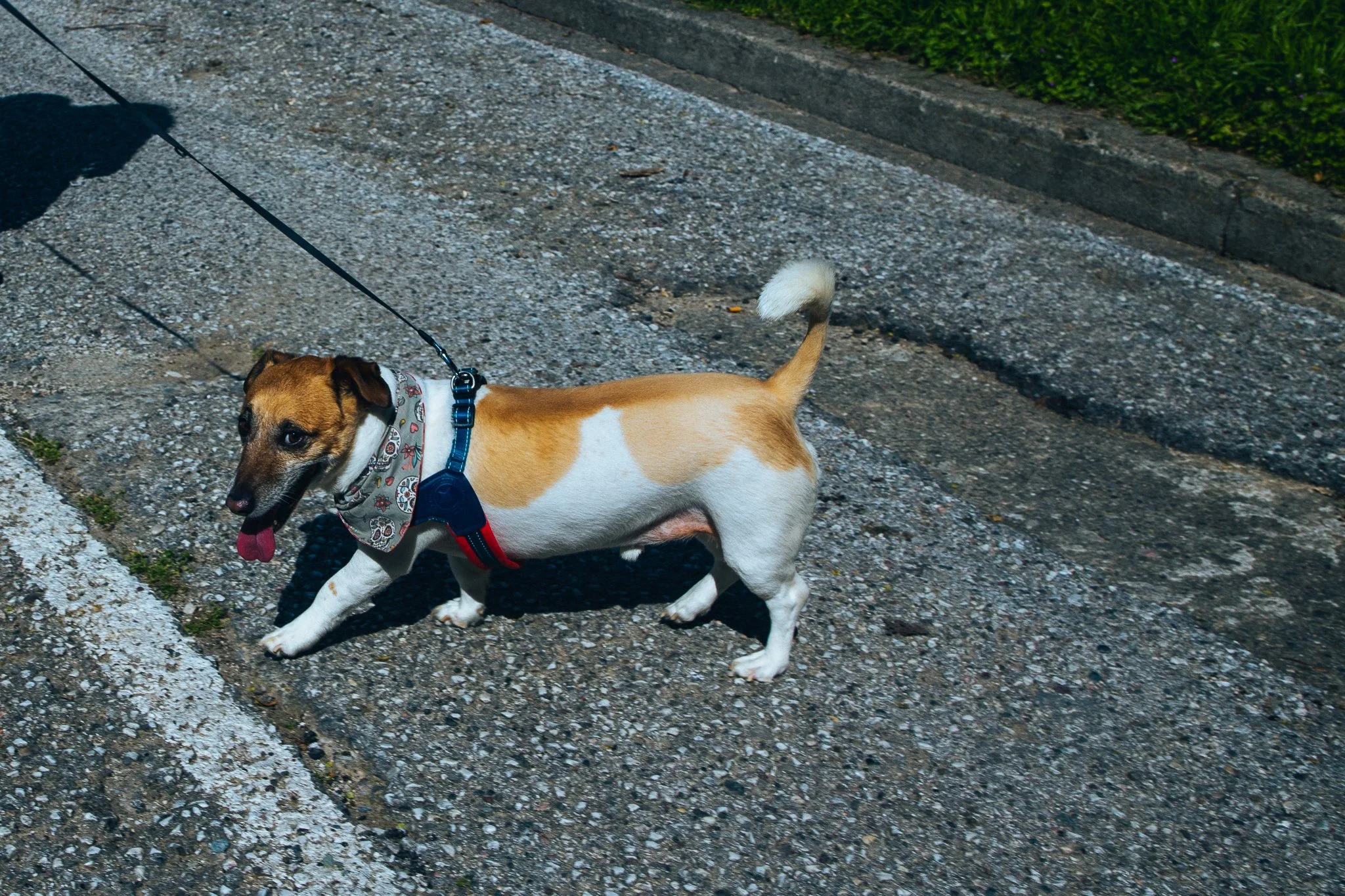 © Nick Boutsikos_Trikala - City of wonders-54.jpg