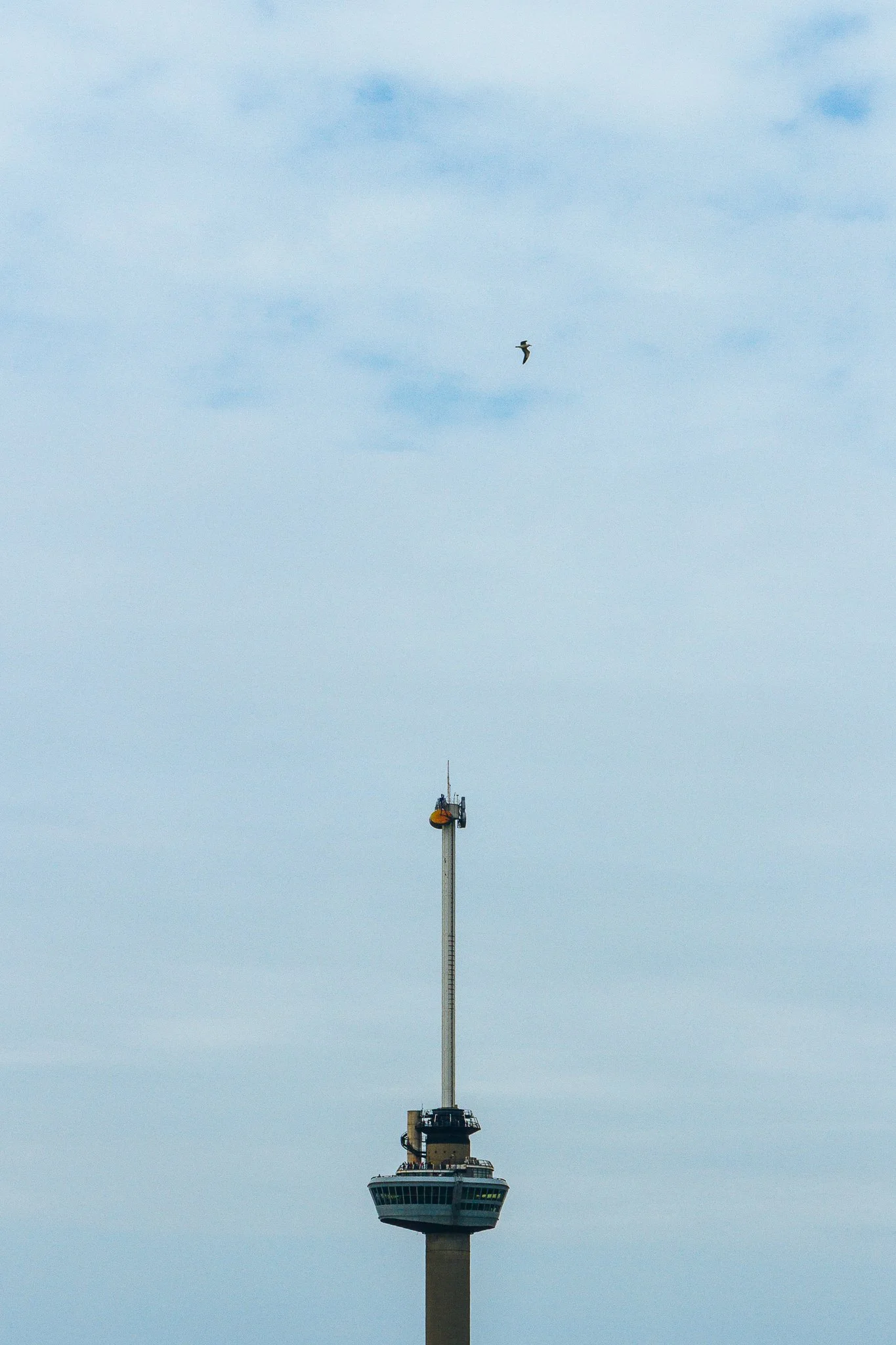 © Nick Boutsikos_Rotterdam-44.jpg