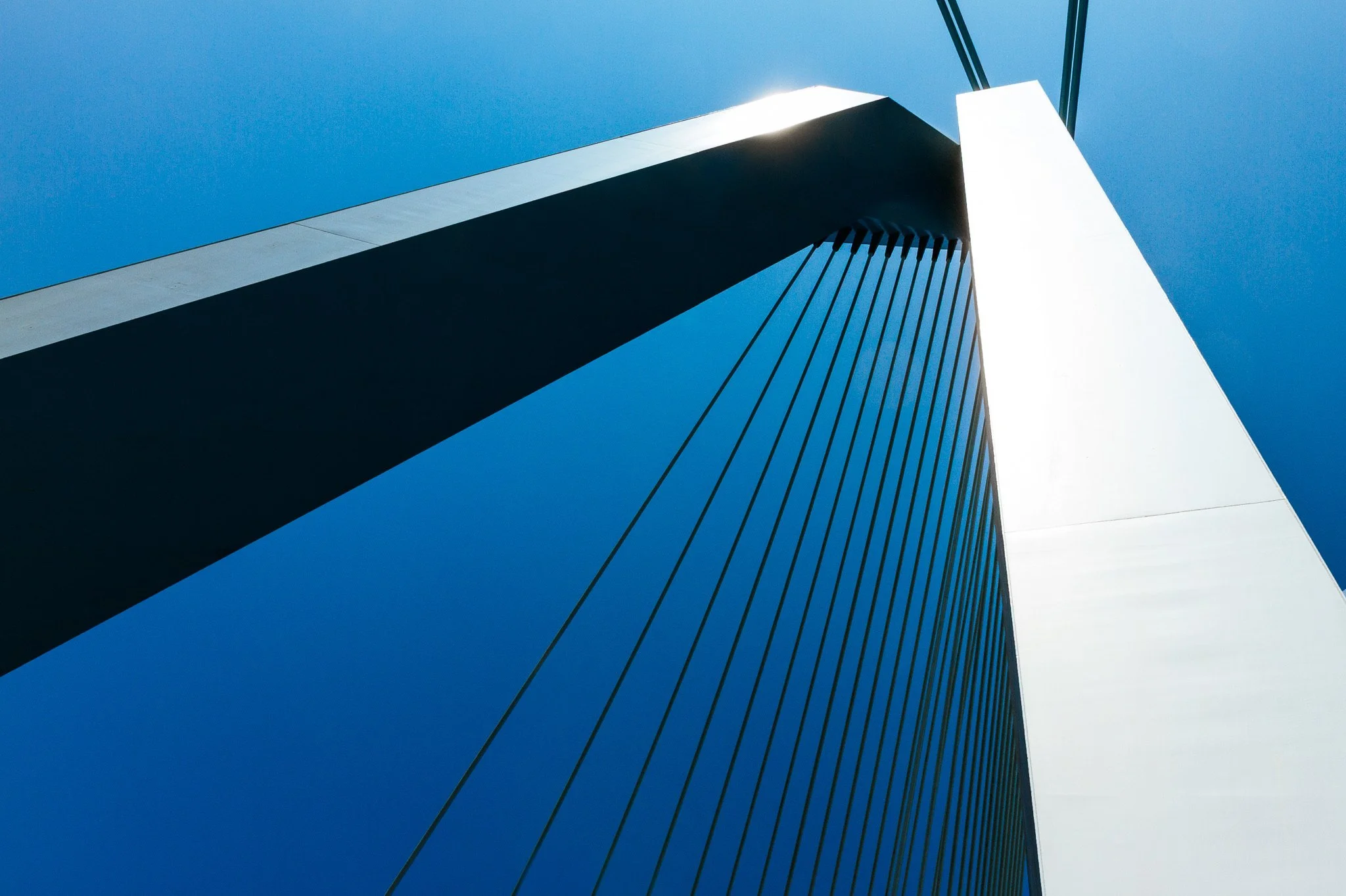 Rotterdam - The playground of architecture