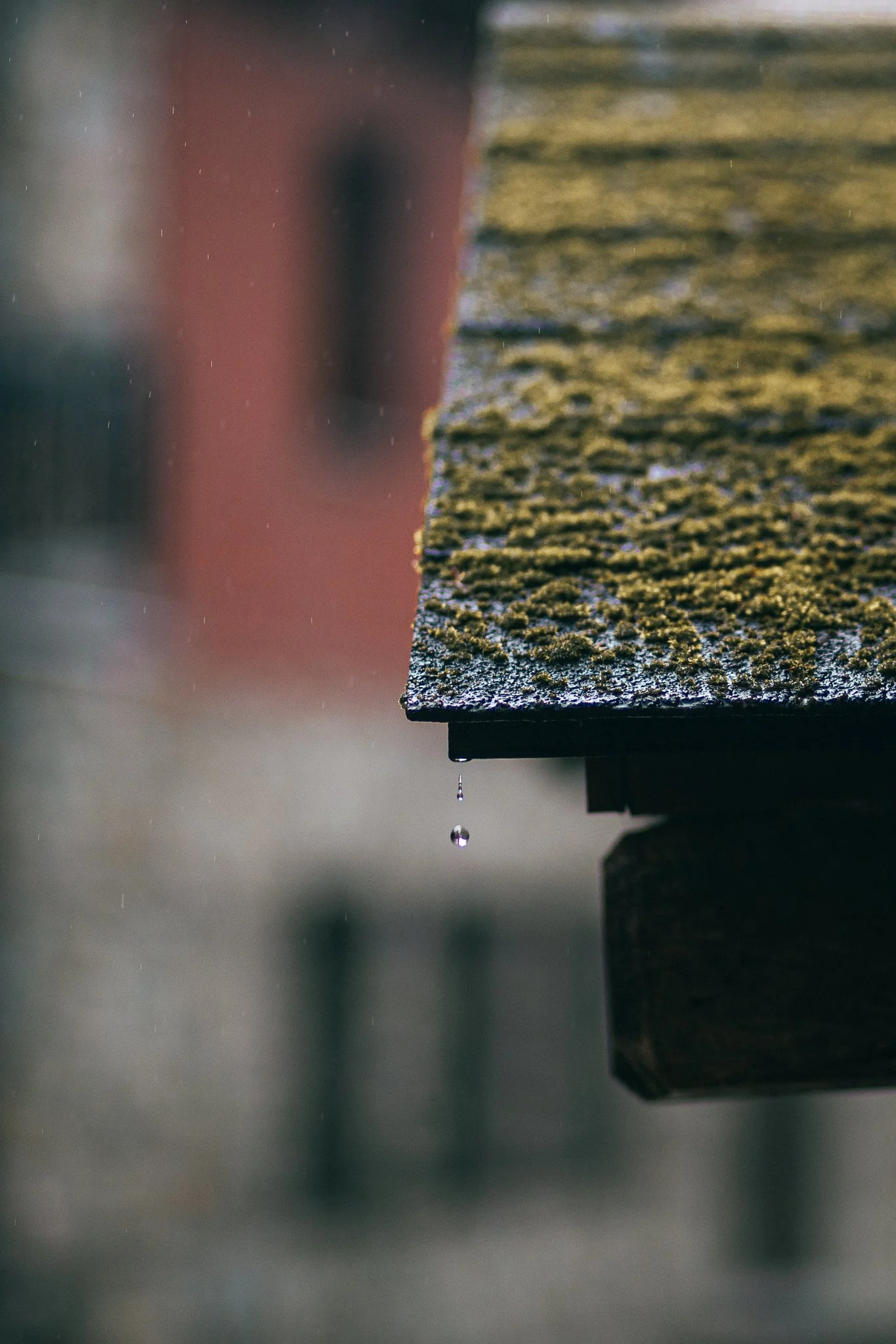 © Nick Boutsikos_Metsovo & Aoos-38.jpg