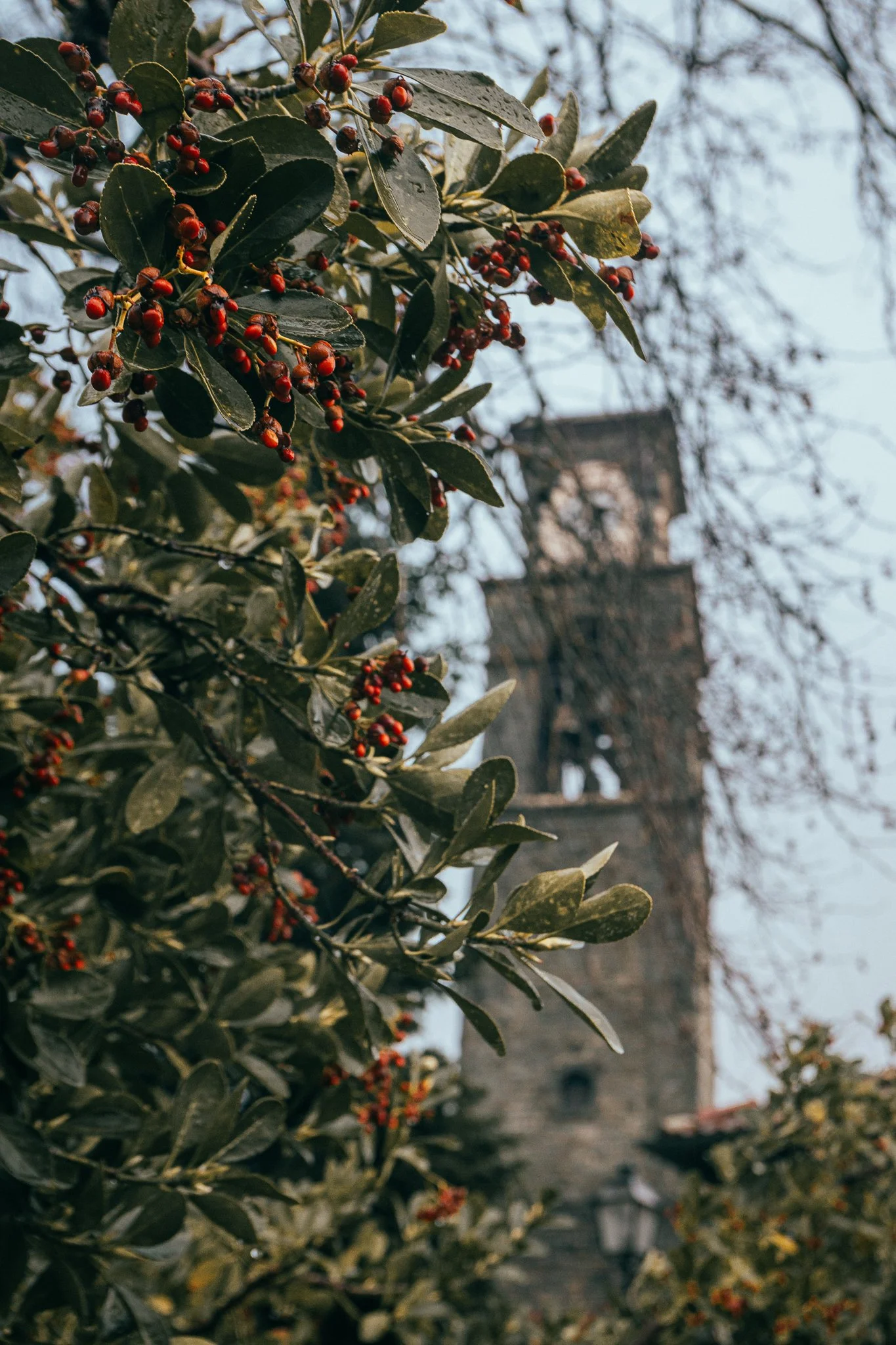 © Nick Boutsikos_Metsovo & Aoos-45.jpg