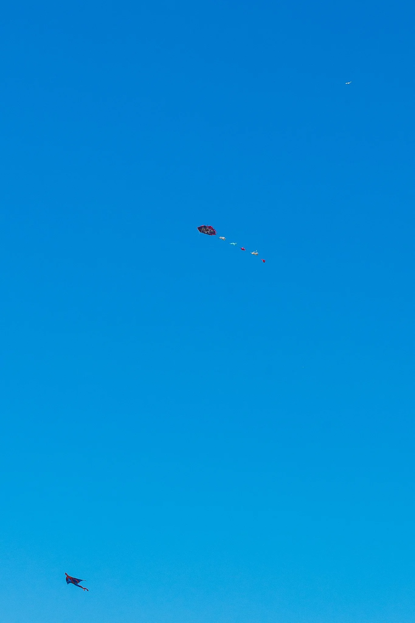 © Nick Boutsikos_Kites and views-29.jpg