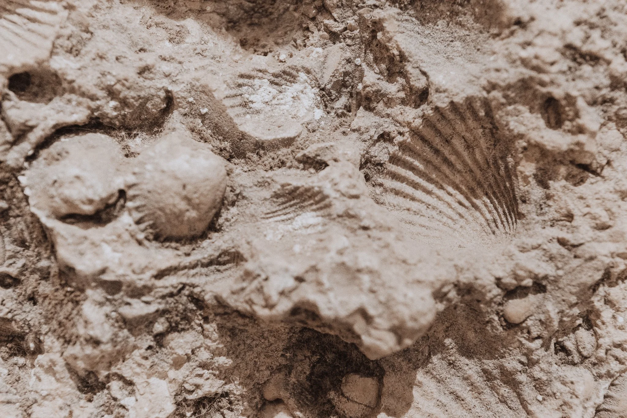 © Nick Boutsikos_ Epidaurus-15.jpg