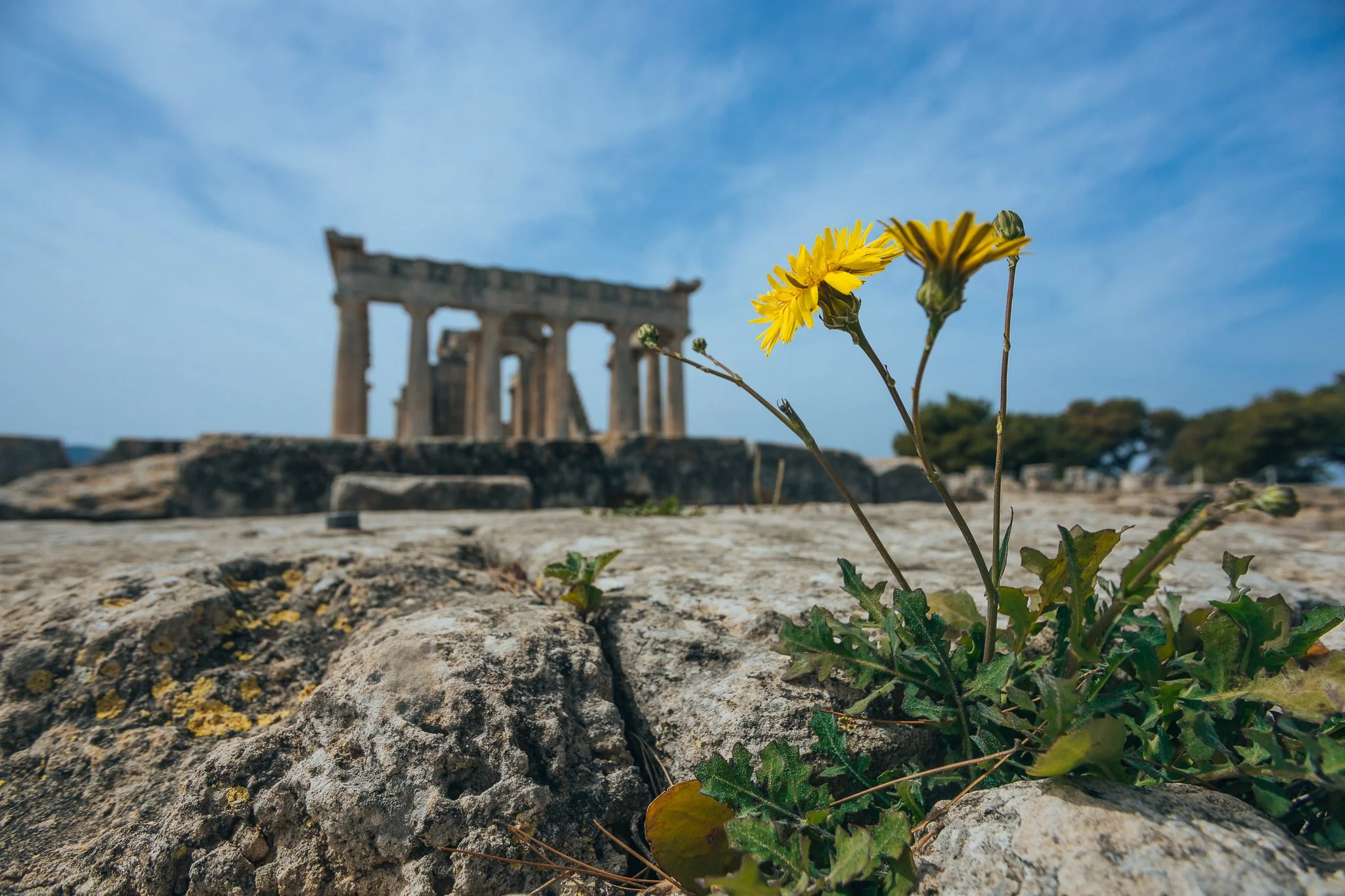 © Nick Boutsikos_Aegina-35.jpg