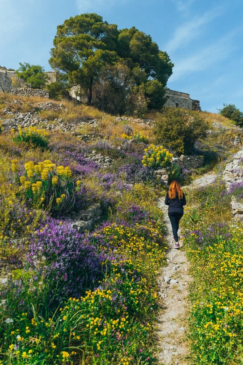 Celebrate spring in Aegina