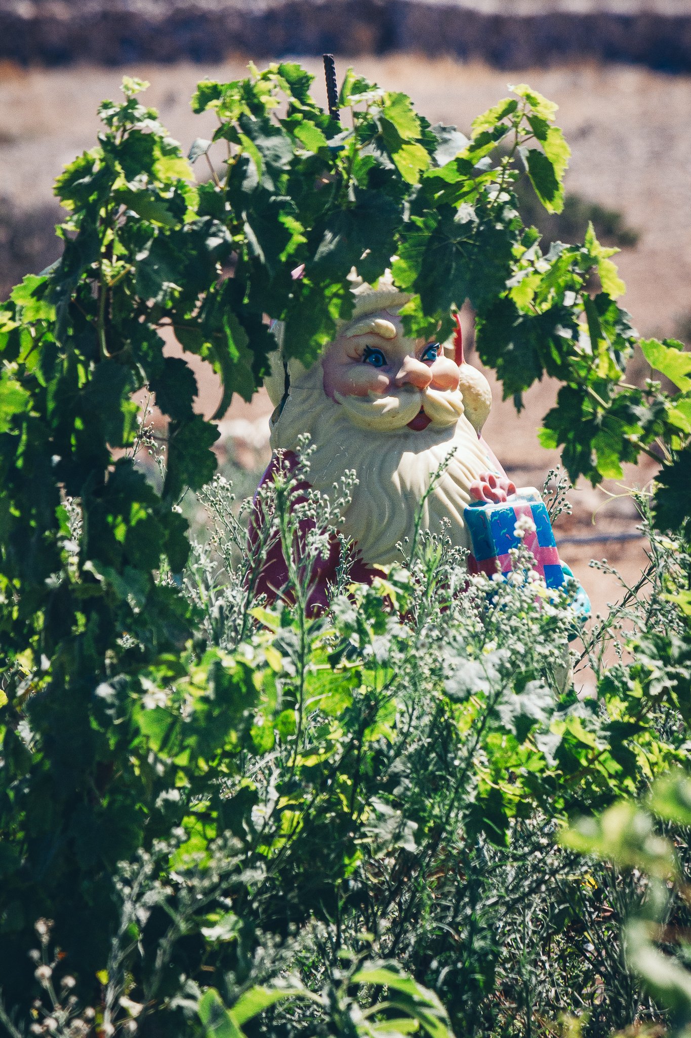 © Nick Boutsikos_Island snipets | Schinoussa-17.jpg