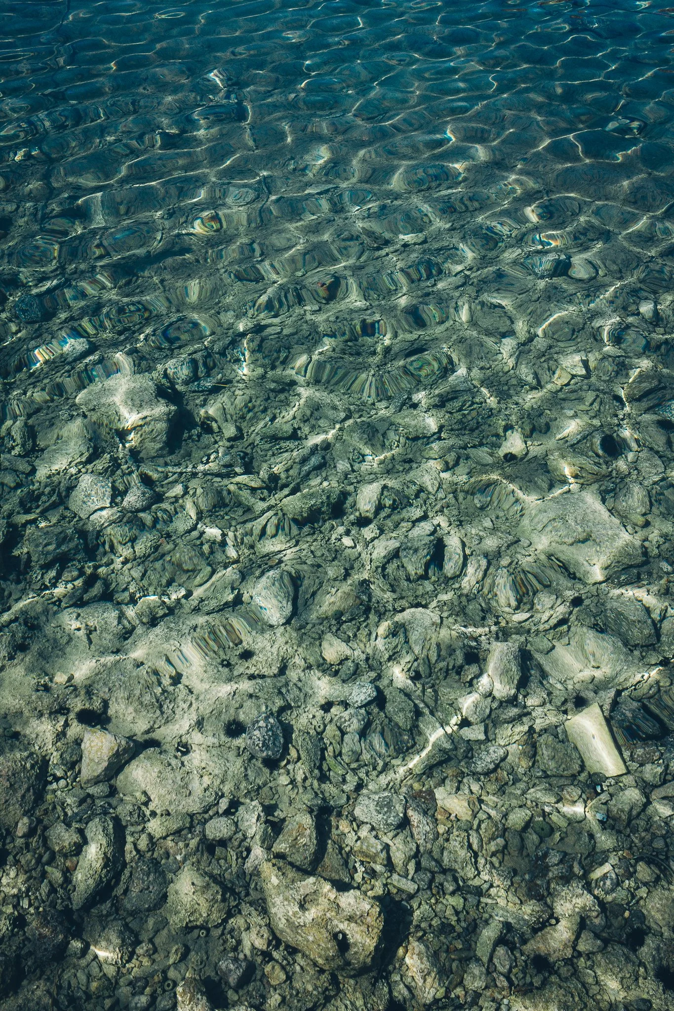 © Nick Boutsikos_Island snipets | Schinoussa-22.jpg