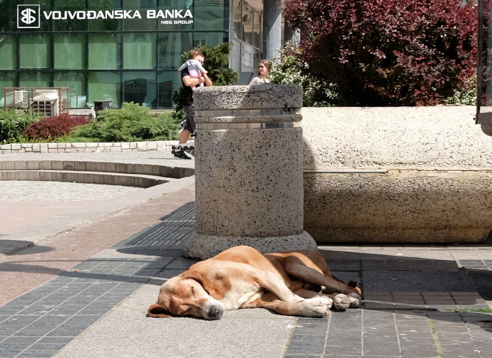 DSCF7723-001.jpg