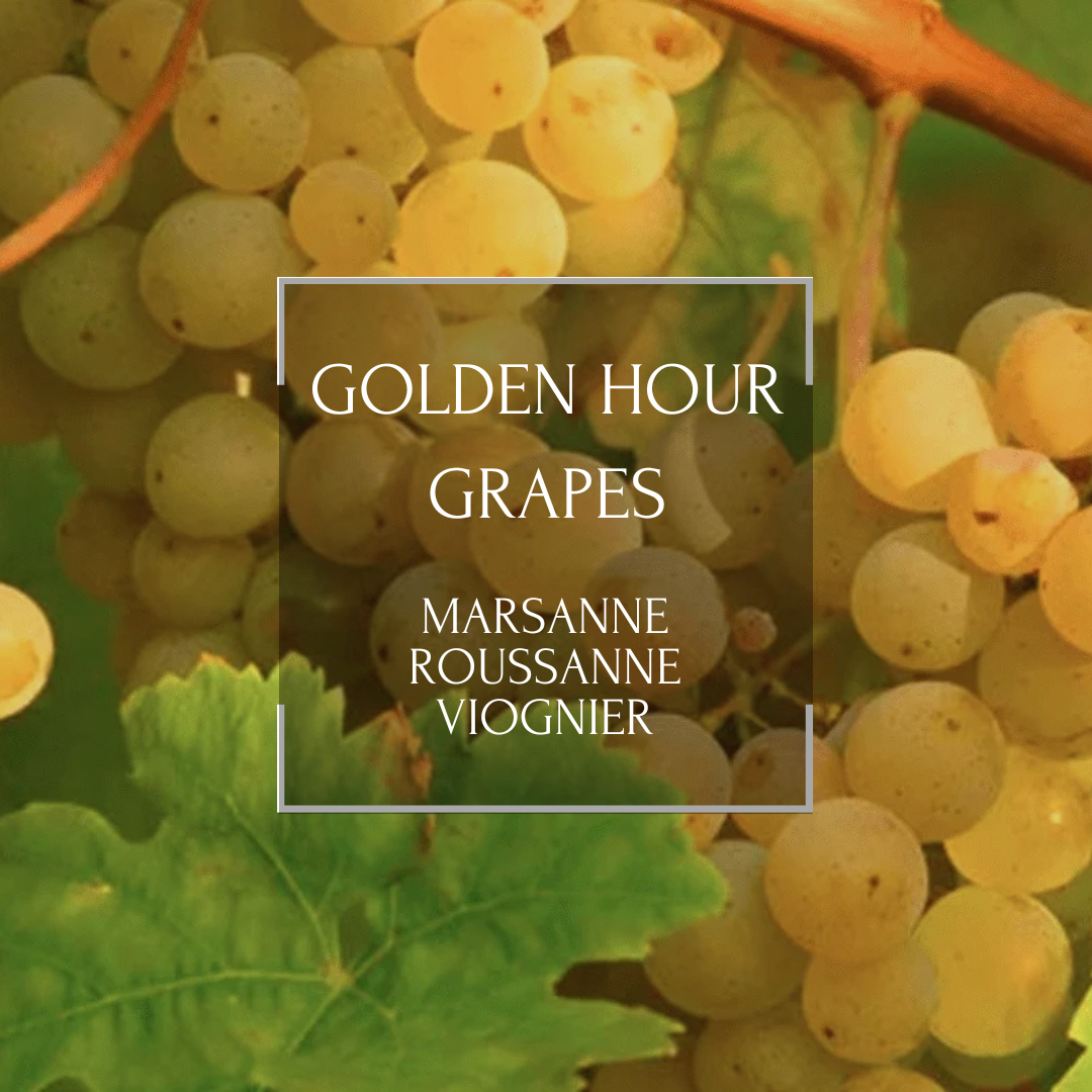 Golden Hour Grapes: Marsanne, Rousanne, Viognier