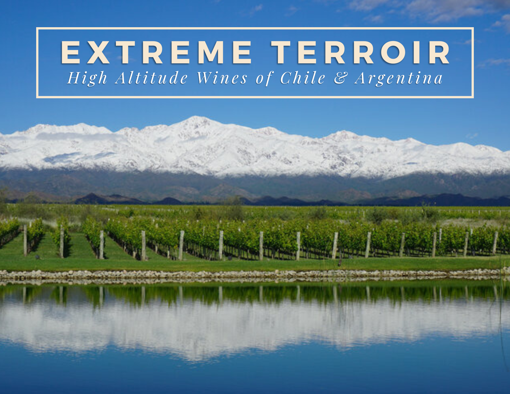 Extreme Terroirs: High-Altitude Wines of Argentina and Chile