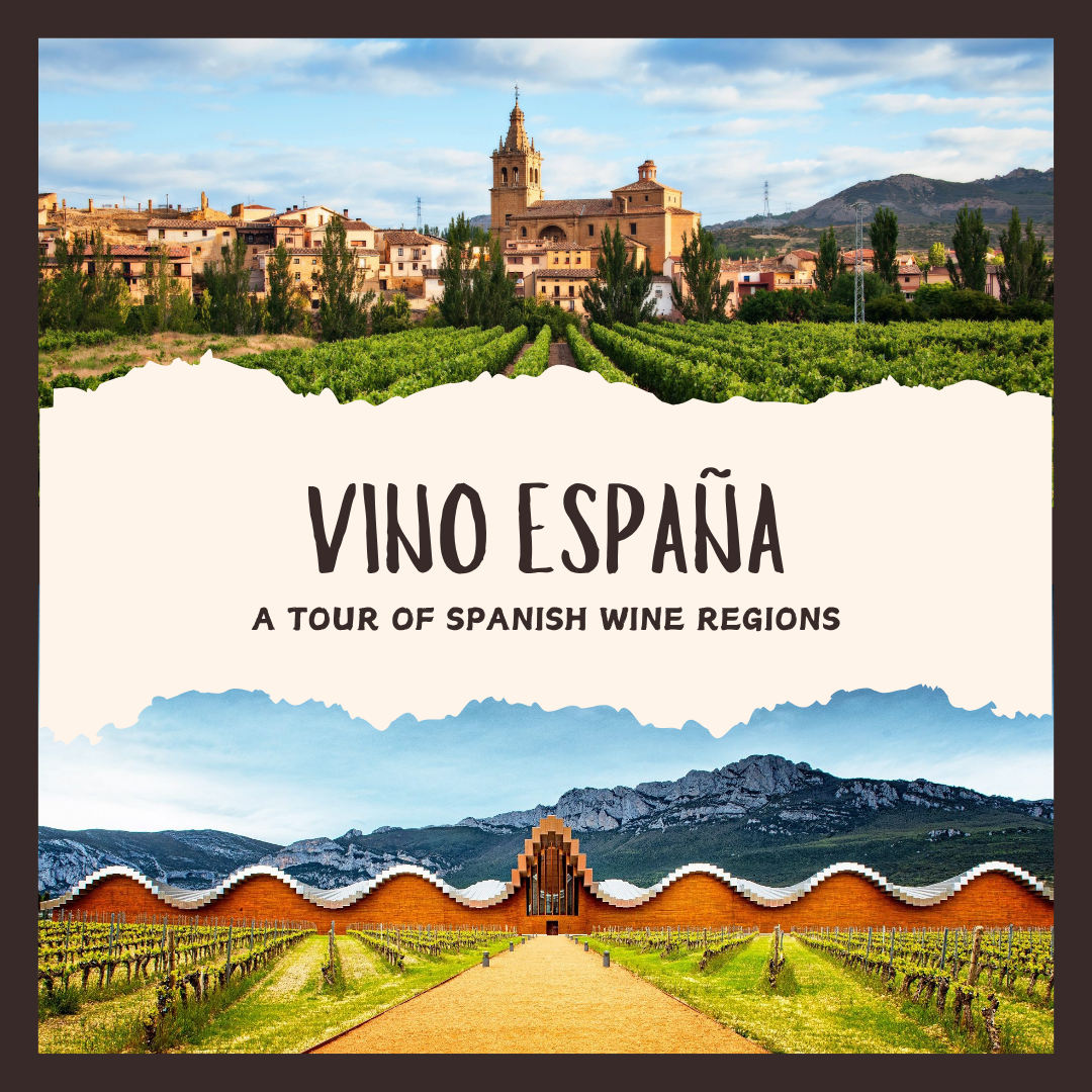 Vino España: A Tour of Spanish Wine Regions