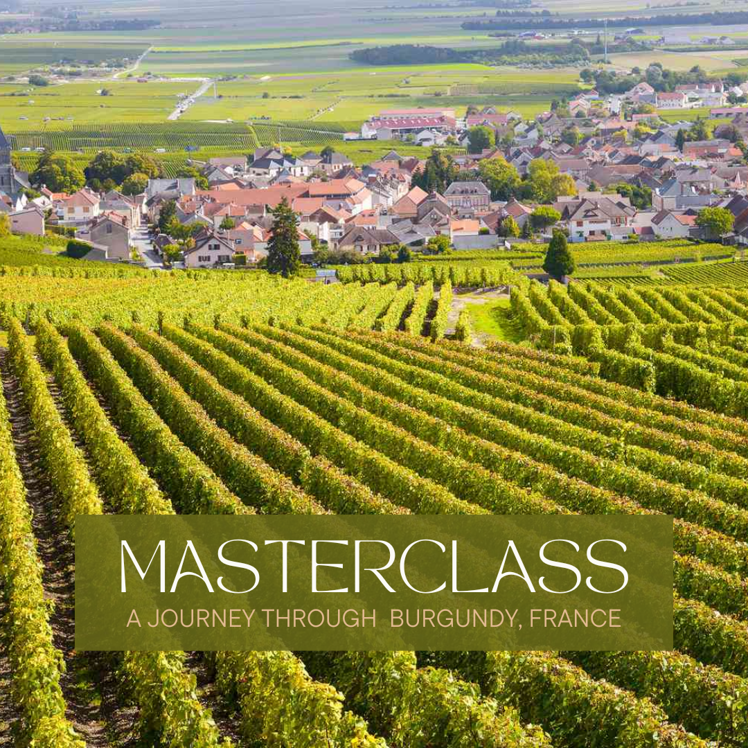 MASTERCLASS: A Journey through Burgundy, France
