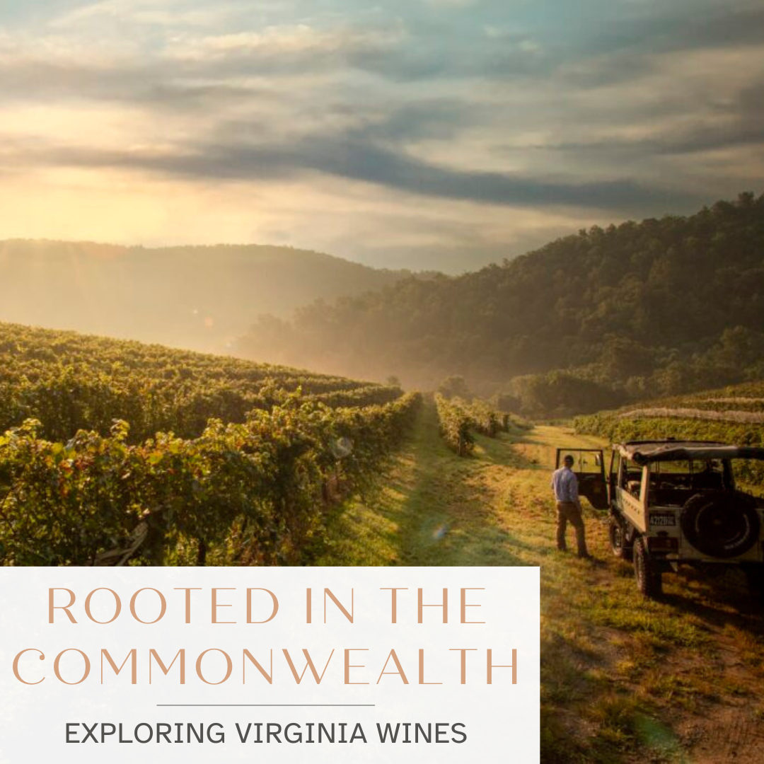 Rooted in the Commonwealth: Exploring Virginia Wines