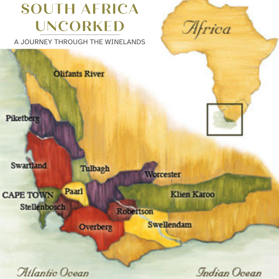 South Africa Uncorked: A Journey through the WInelands