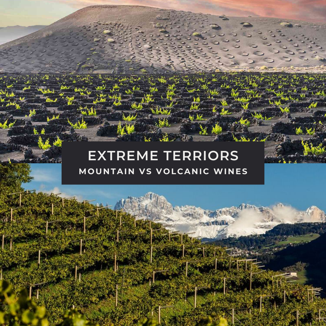 Extreme Terroirs: Mountain vs Volcanic Wines