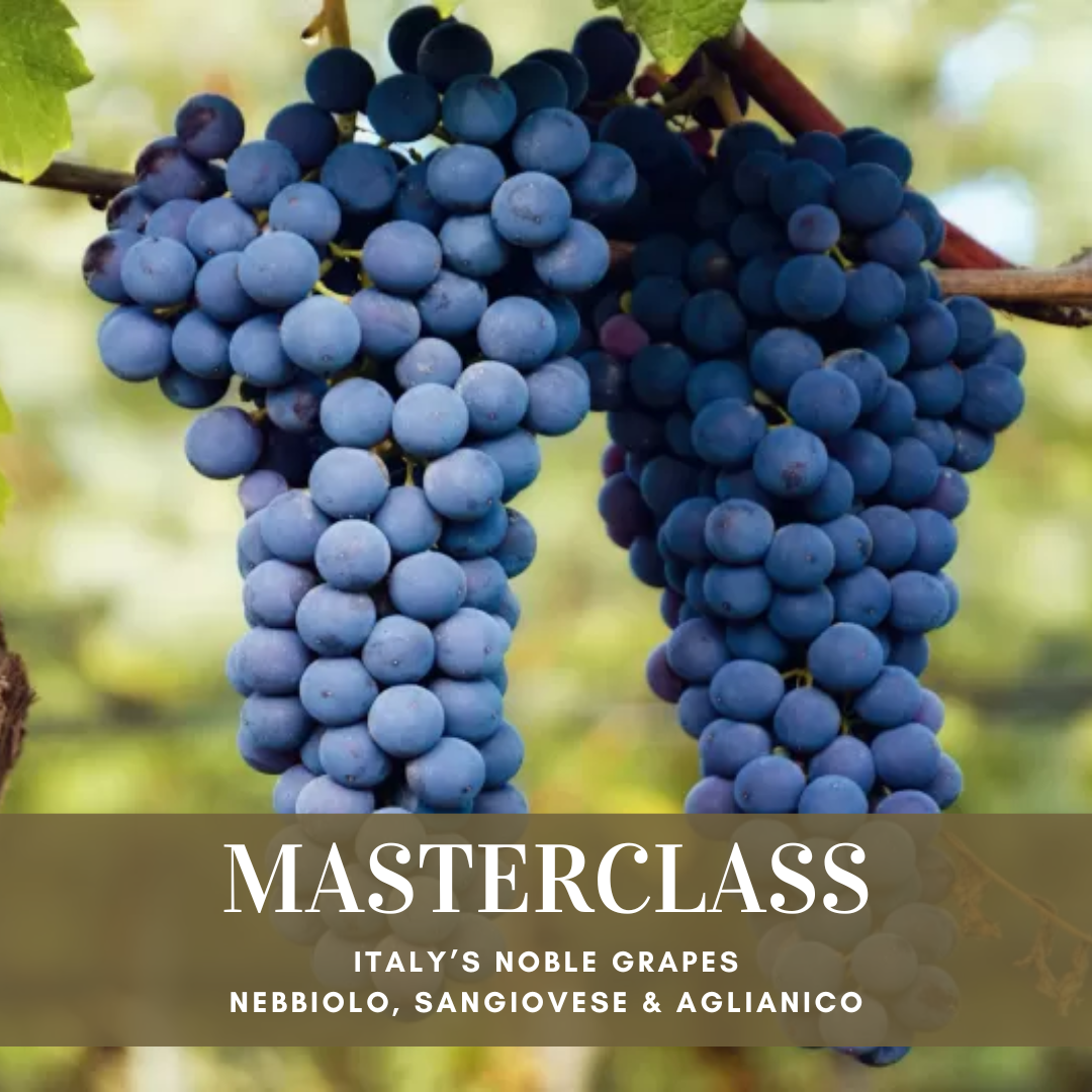 MASTERCLASS: Italy’s Noble Grapes – Nebbiolo, Sangiovese &amp; Aglianico