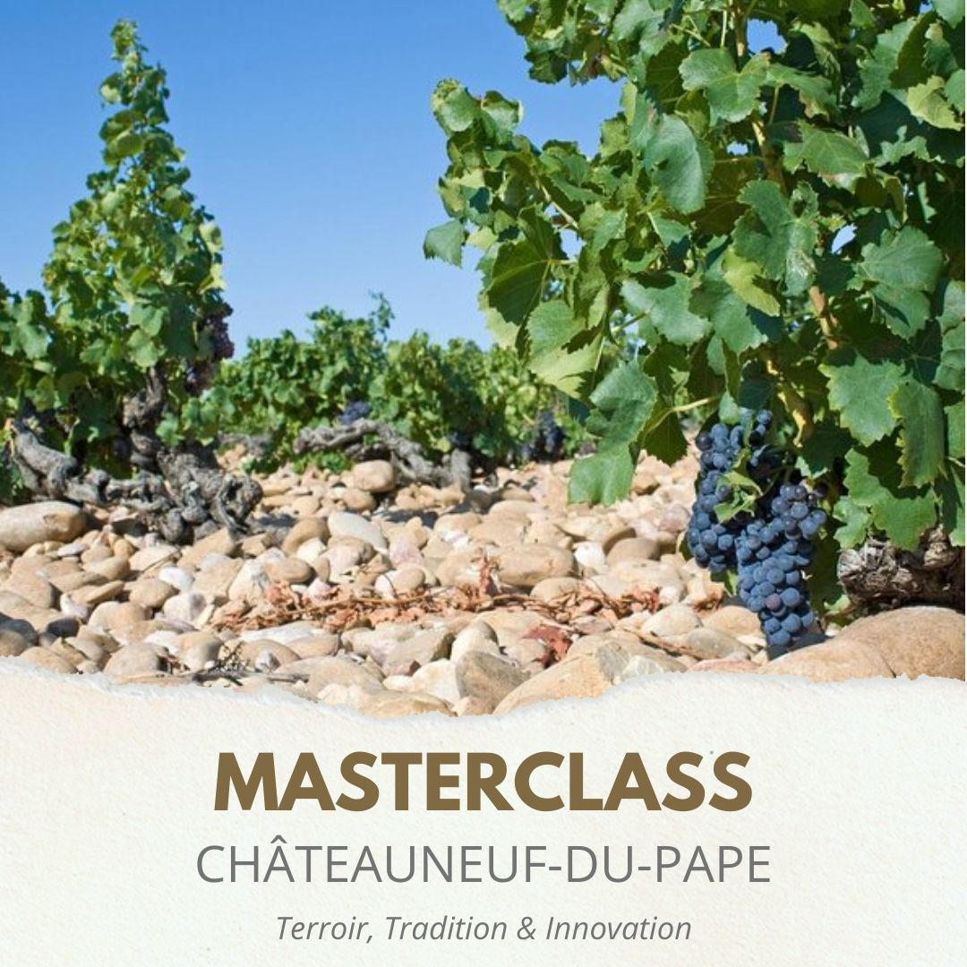 MASTERCLASS: Châteauneuf-du-Pape – Terroir, Tradition &amp; Innovation