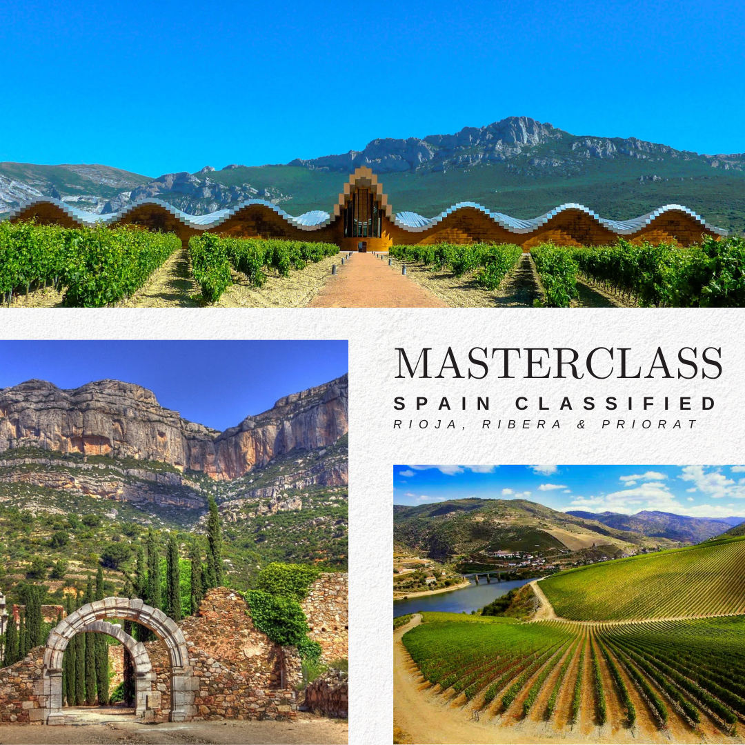 MASTERCLASS: Spain Classified – Rioja, Ribera &amp; Priorat