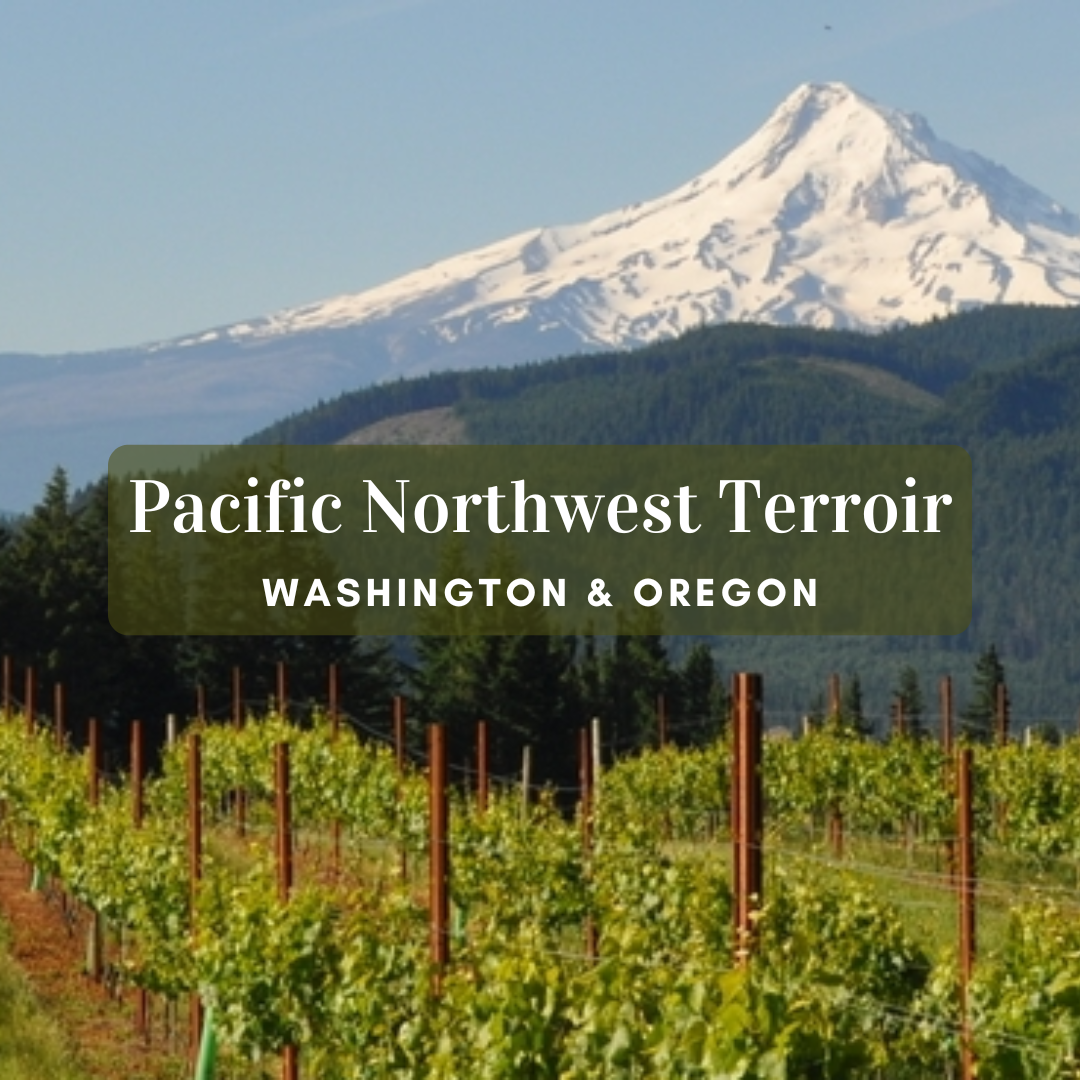 Pacific Northwest Terroirs: Washington &amp; Oregon