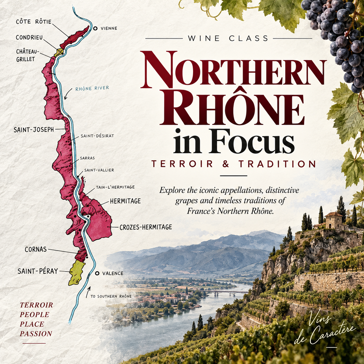 Northern Rhône in Focus: Terroir &amp; Tradition