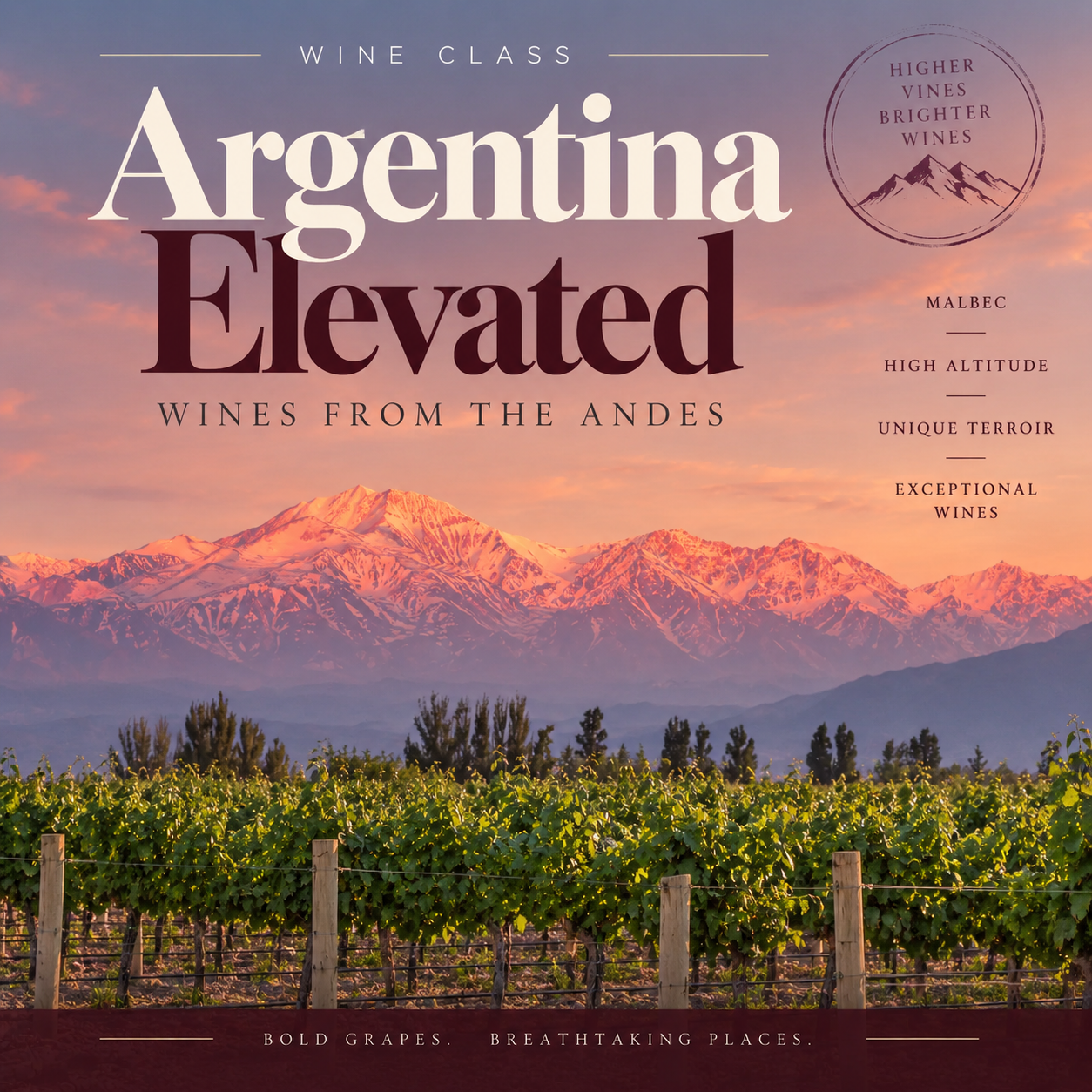 Argentina Elevated: Wines from the Andes