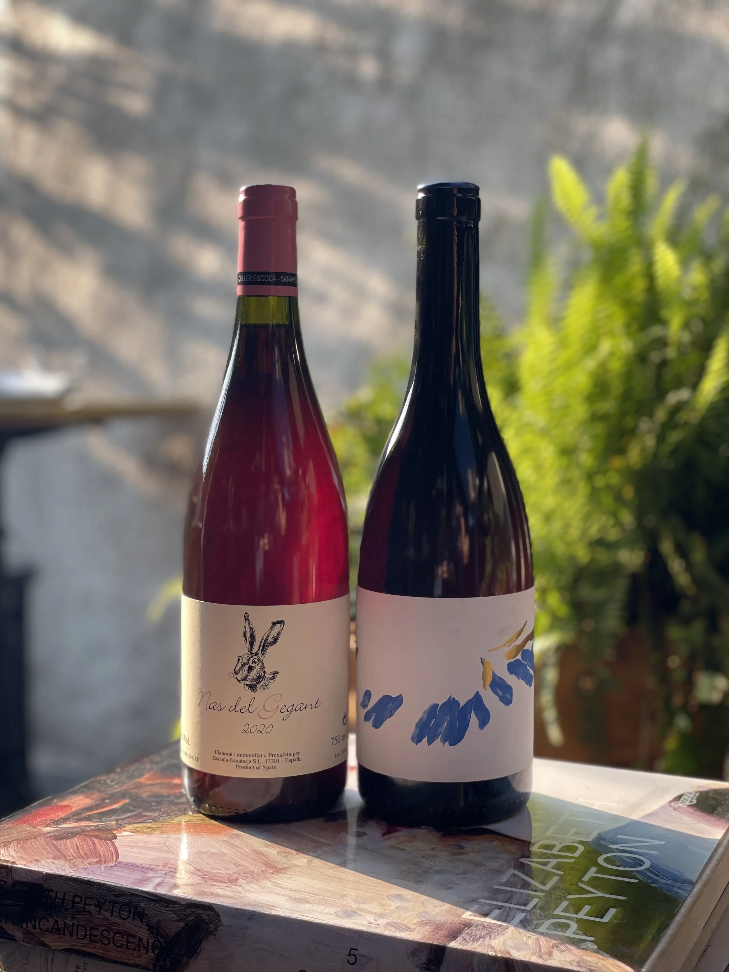 wine shop — lolo wine bar