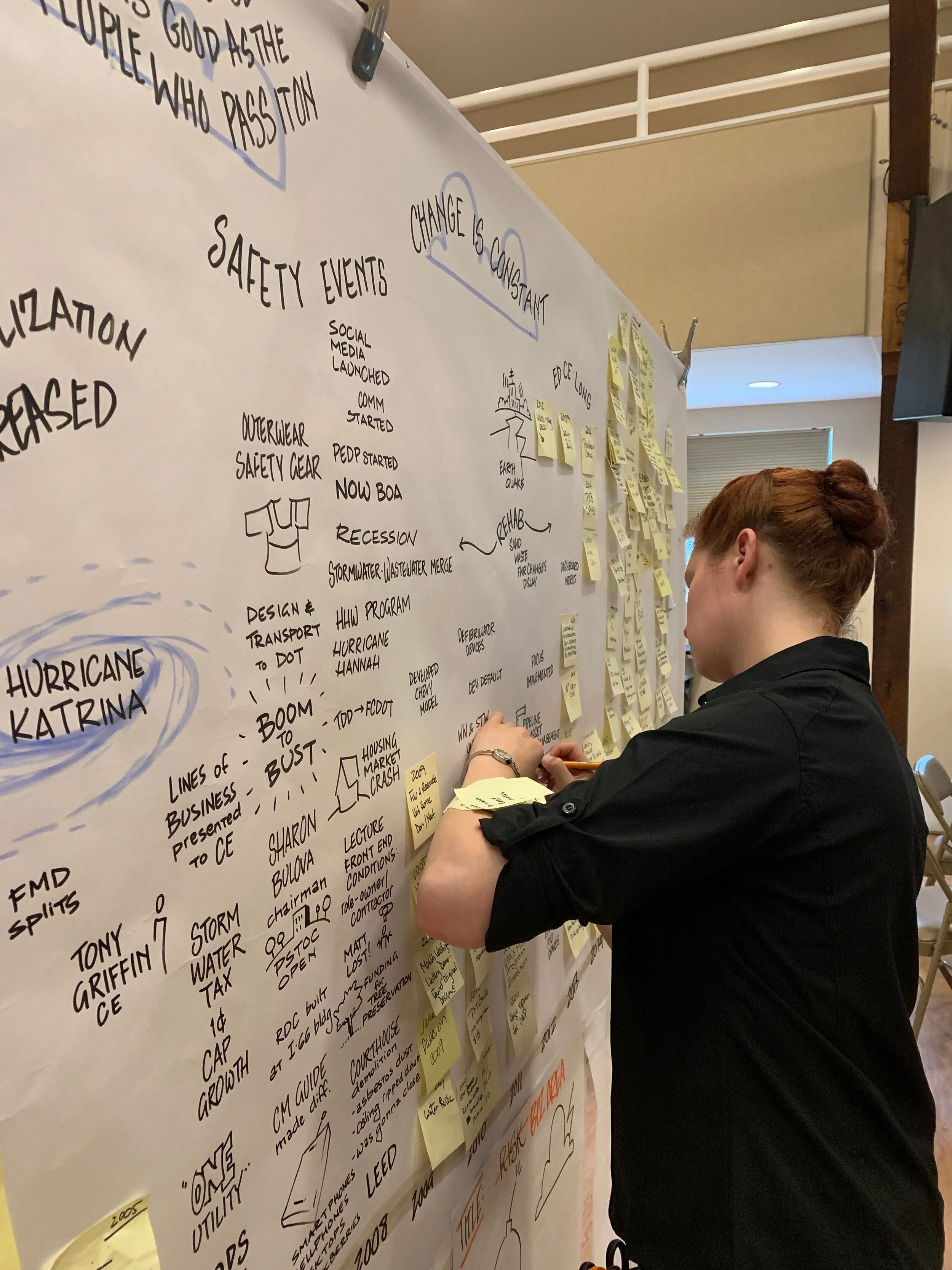 Lizard Brain Visual Facilitation session