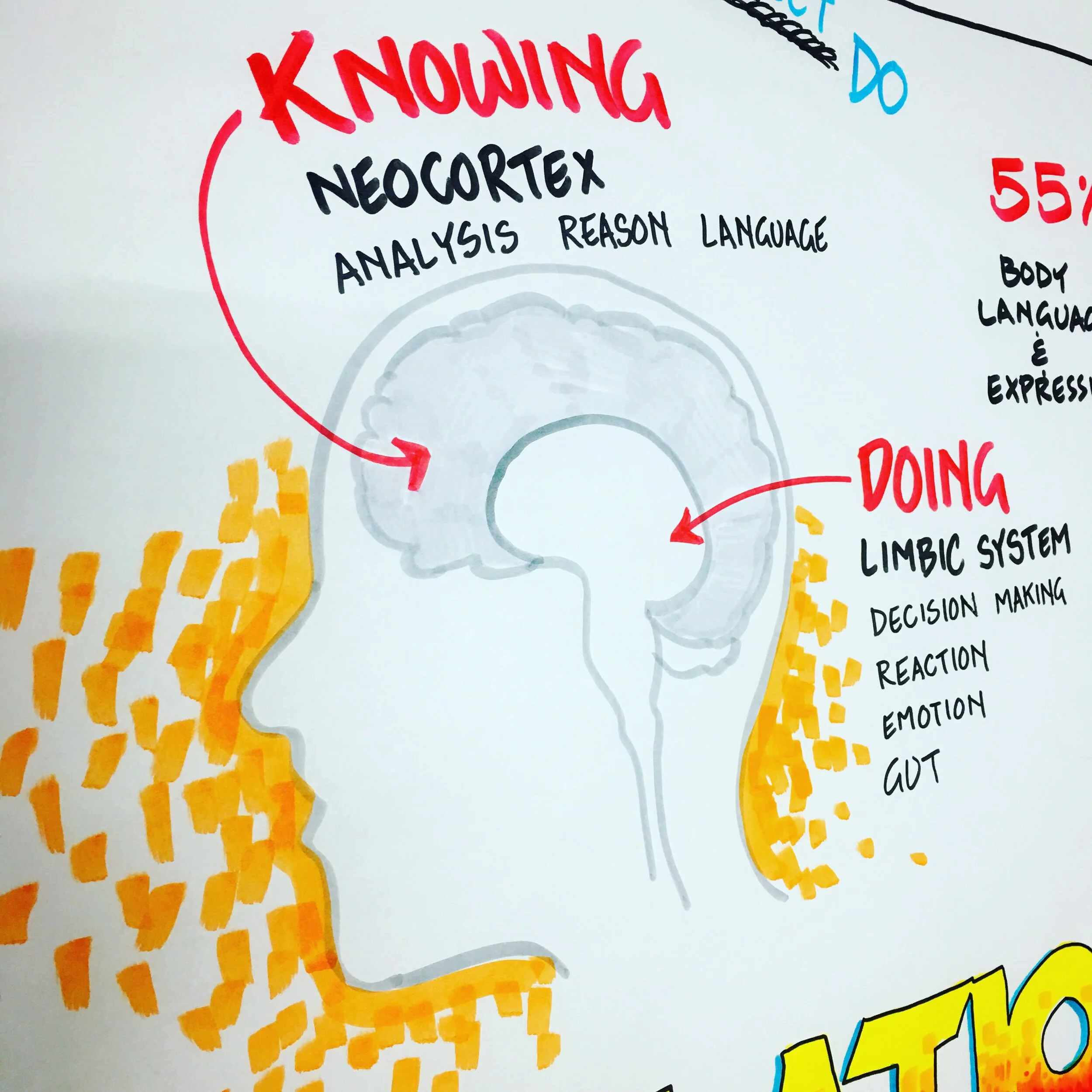 Lizard Brain Facilitation session