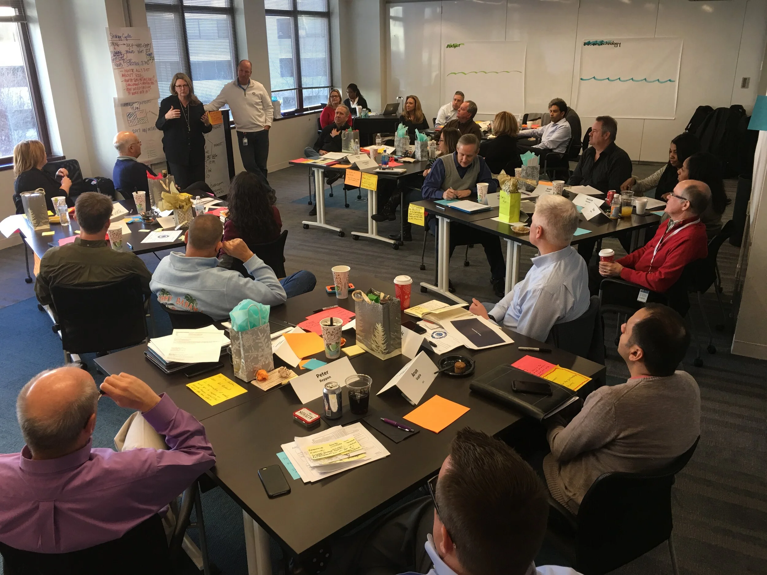 Lizard Brain Facilitation session