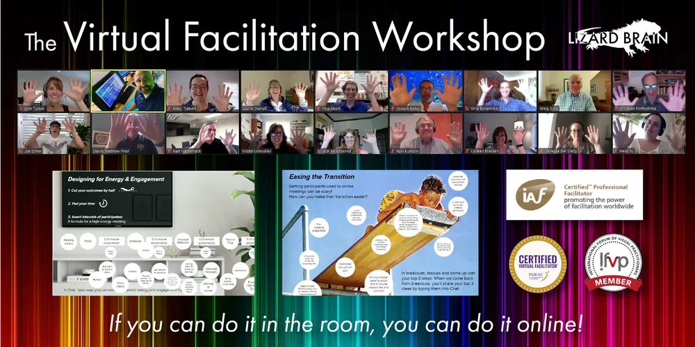 The Virtual Facilitation Workshop — Lizard Brain