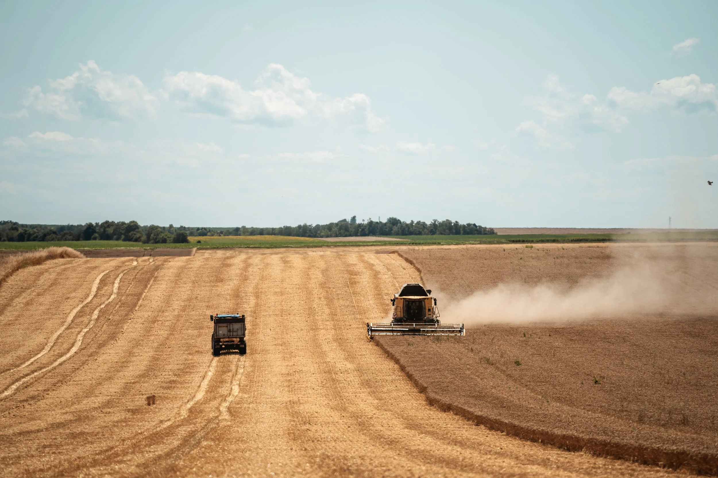HQ- 15&16-08-24_Barley To Bar_France Heineken Photo -42.jpg