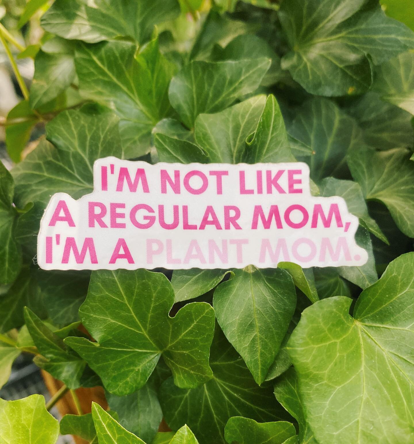Happy Mother&rsquo;s Day weekend! 
Enjoy 20% off all shop items this weekend including these new stickers! Slip one or two of them into your Mother&rsquo;s Day card 💚