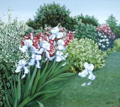 Garden small.JPG