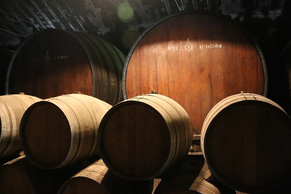 Brazilian Mahogany barrels in the background, holding anywhere between 18-20,000 Liters of wine
