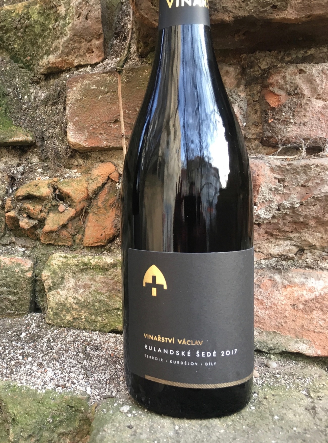 Pinot Gris from Vinařství Václav