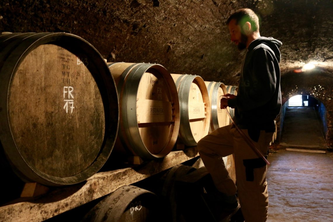 Petr Hloušek in the barrel room at J. Stávek
