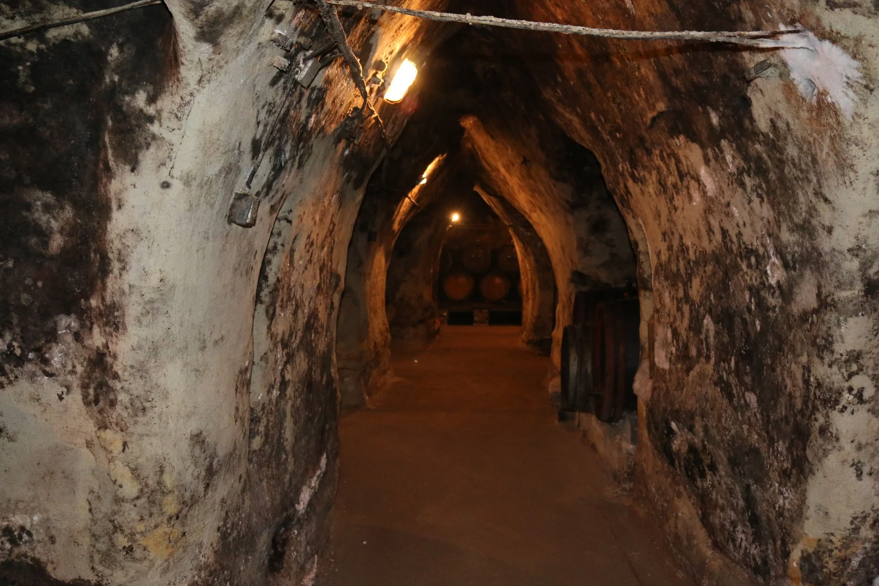 cellar2.jpg