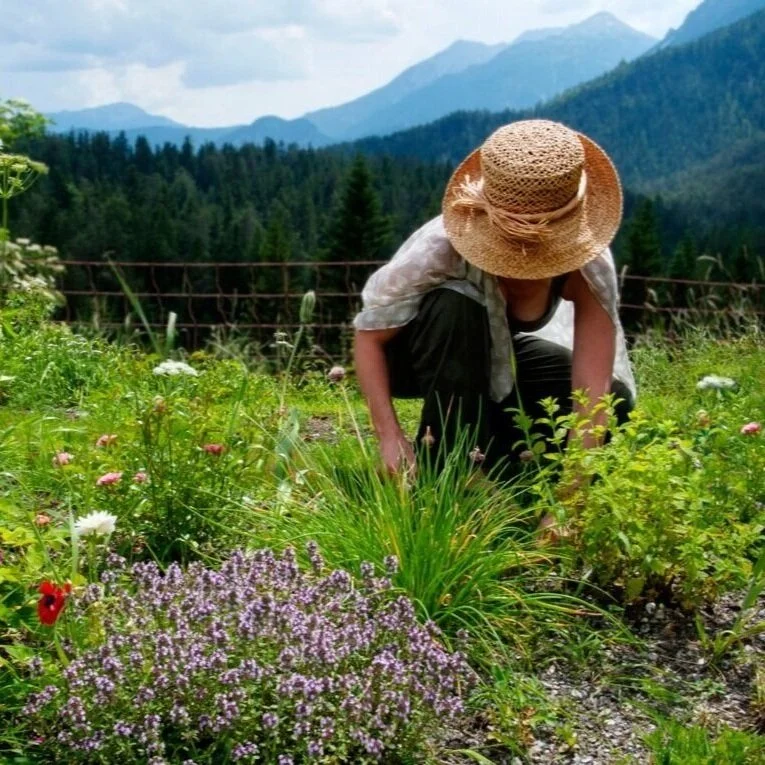 LATE SUMMER IN TYROL - FLOW &amp; GROW RETREAT AUGUST 2020 