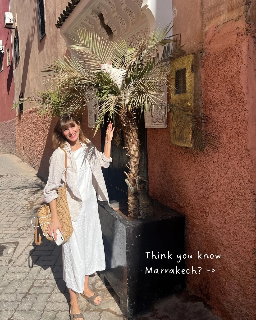 Swipe to see some highlights from our recent trip to Marrakech:
1. @benyoussefmedersa 
2. Art in the Souks
3. @the.differentconcept 
4. @bemarrakech 
5. @momo_jemaa_el_fna 
6. @jardinmajorellemarrakech 
7. Cat in Palmtree
8. @themakersmarrakech 
9. @