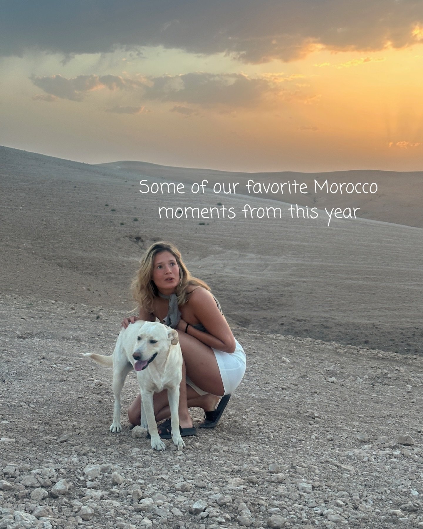 The real magic of Morocco? The incredible people we shared it with. From laughter in the souks to sunrise rituals in the desert, these are the moments that stay with you forever. Some of our favorite Morocco moments from this year, thank you to every