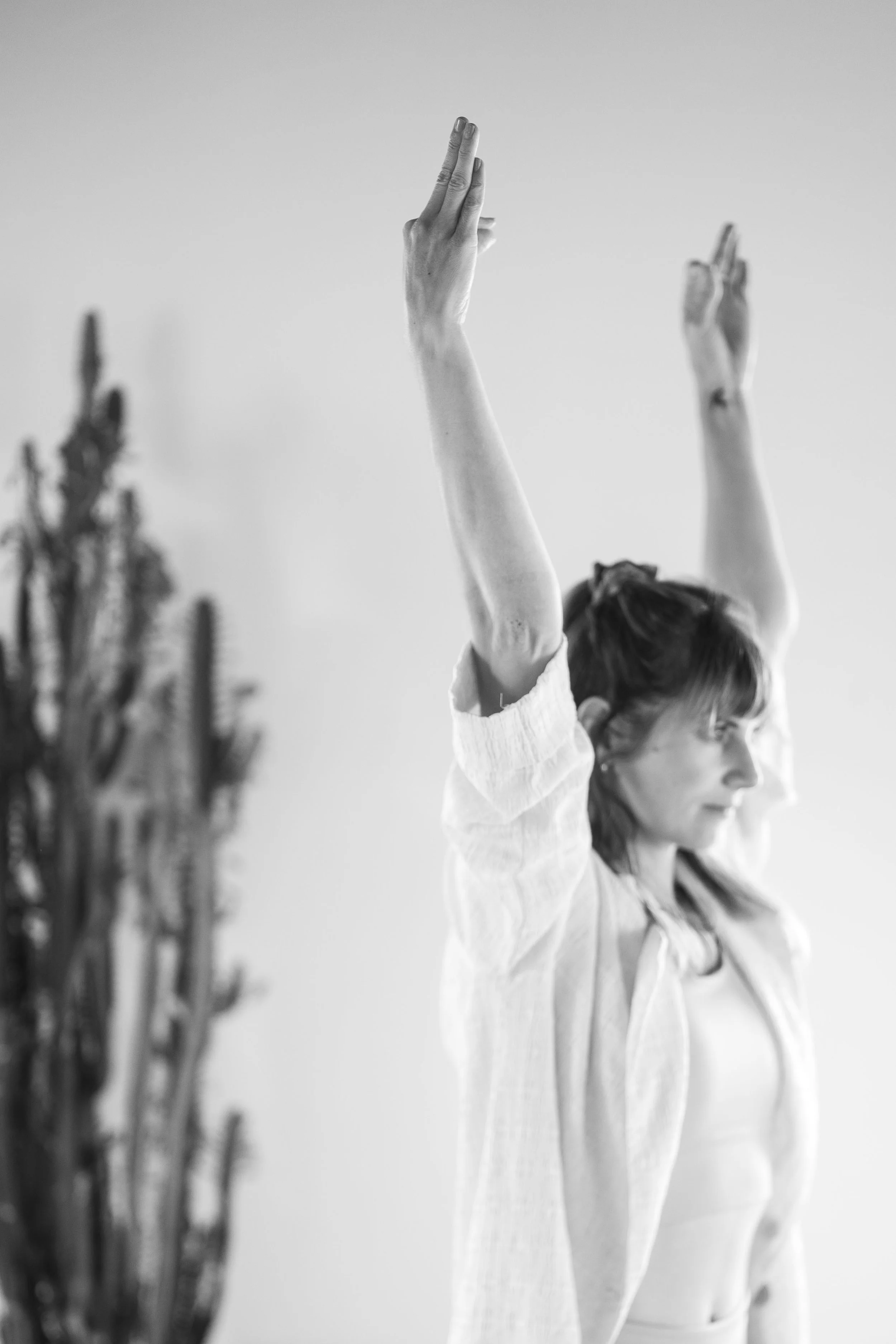 The Art of Surrender Ticket - A 2-hour meditation intensive