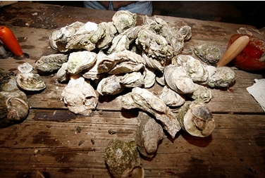 oysters2.jpg